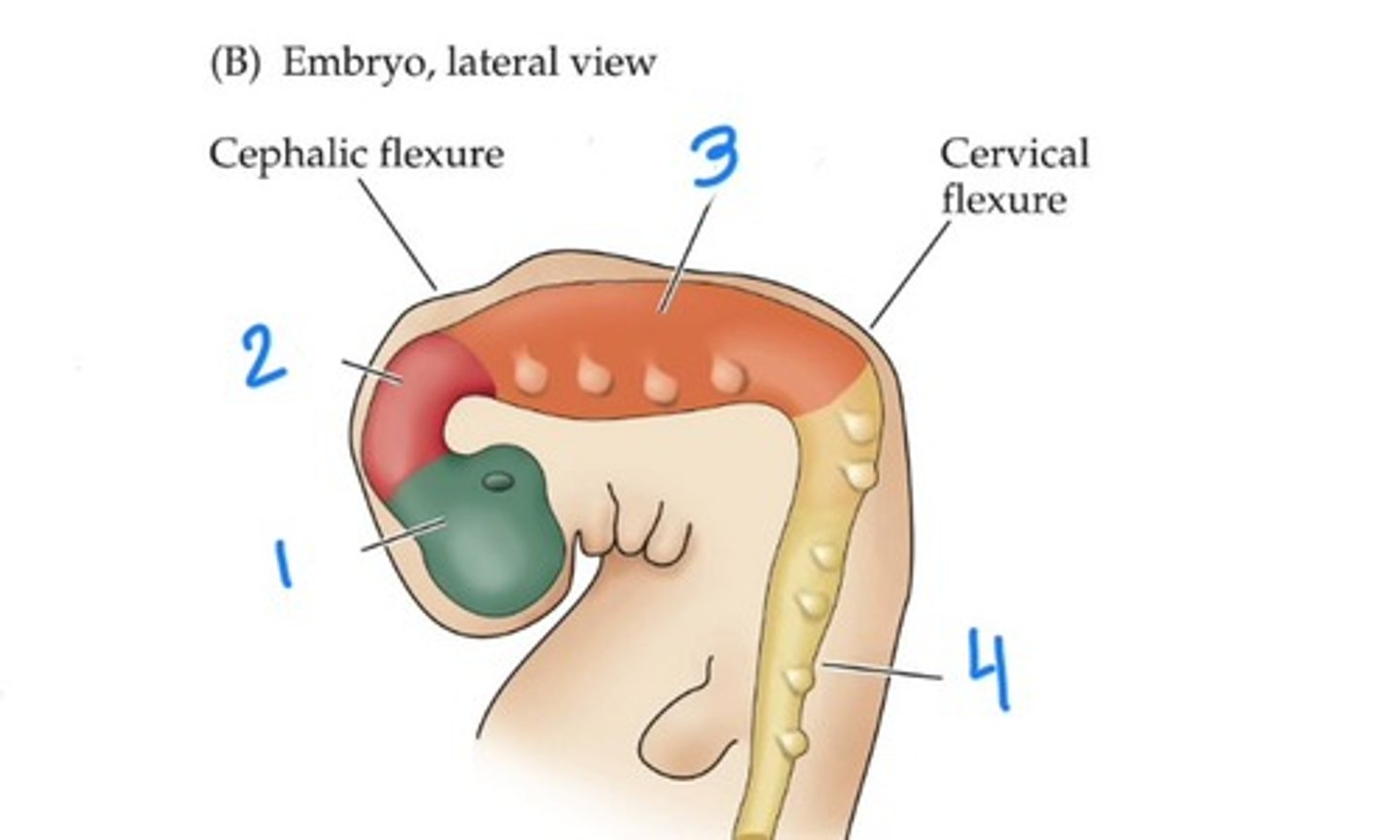 <p>1</p>