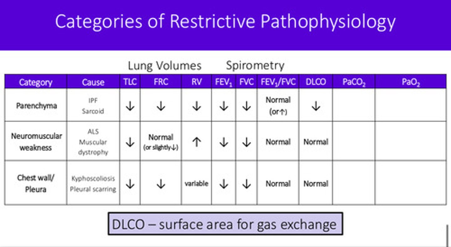 <p>1) lung parenchyma —&gt; damaged alveoli —&gt; <strong>decreased</strong> DLCO</p><p>2) neuromuscular weakness —&gt; fairly <strong>normal</strong> DLCO</p><p>3) chest wall/pleura issue —&gt; fairly <strong>normal</strong> DLCO</p><p>last 2 buckets do not affect lung alveoli!!</p>