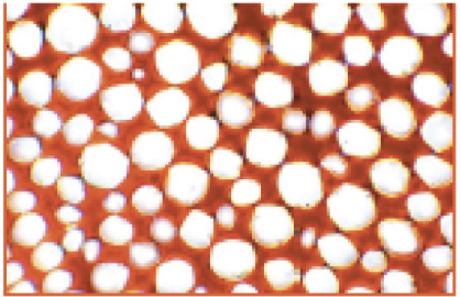 <p>Grouped in strands for flexible support with thicker cell walls </p>