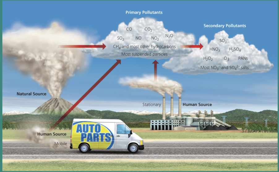 <p>Primary pollutants are chemicals or substances emitted directly into the air from natural processes and human activities at concentrations high enough to cause harm.</p>