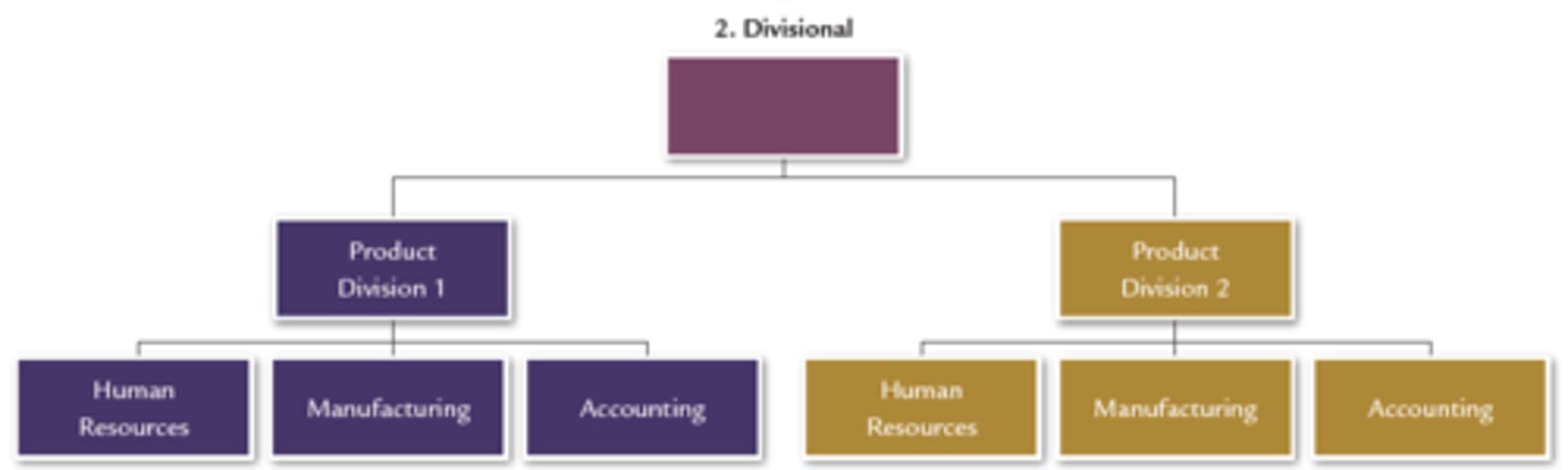 <p>departments are grouped together based on similar organizational outputs such as product/service or geographic factors</p>