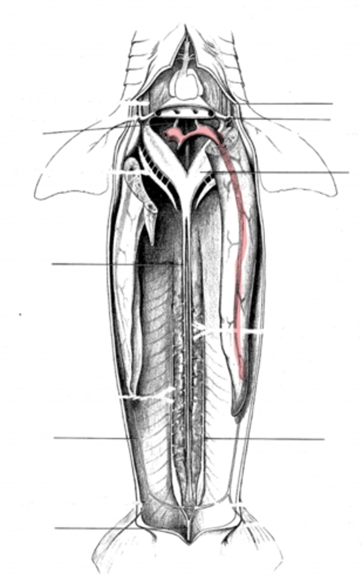 <p>what is this?</p>