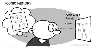 <p>Textbook: A momentary sensory memory of visual stimuli; a photographic or picture-image memory lasting no more than a few tenths of a second.<br>Mine: Processes and stores visual images</p><p>Retrieval Cues:</p>