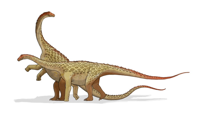 Does this dinosaur fall into Saurischian or Ornithischian and what sub category?