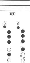<p>Note name?</p>
