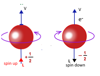 <p>spin-up betegner at elektronen spinner syd opad og nord nedad (mod uret)</p>