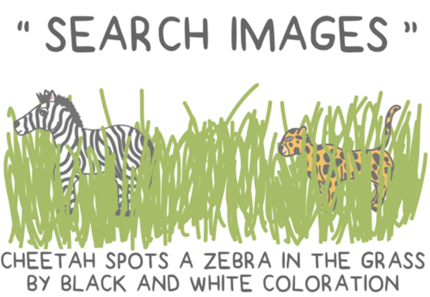<p>search images</p>