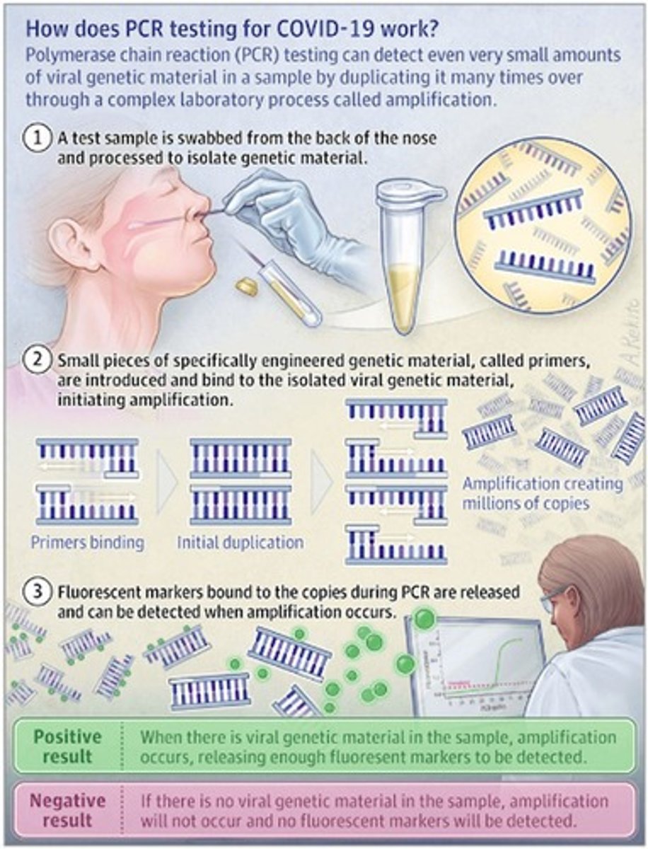 <p>A method that amplifies the presence of virus DNA, specifically for detecting COVID virus DNA.</p>