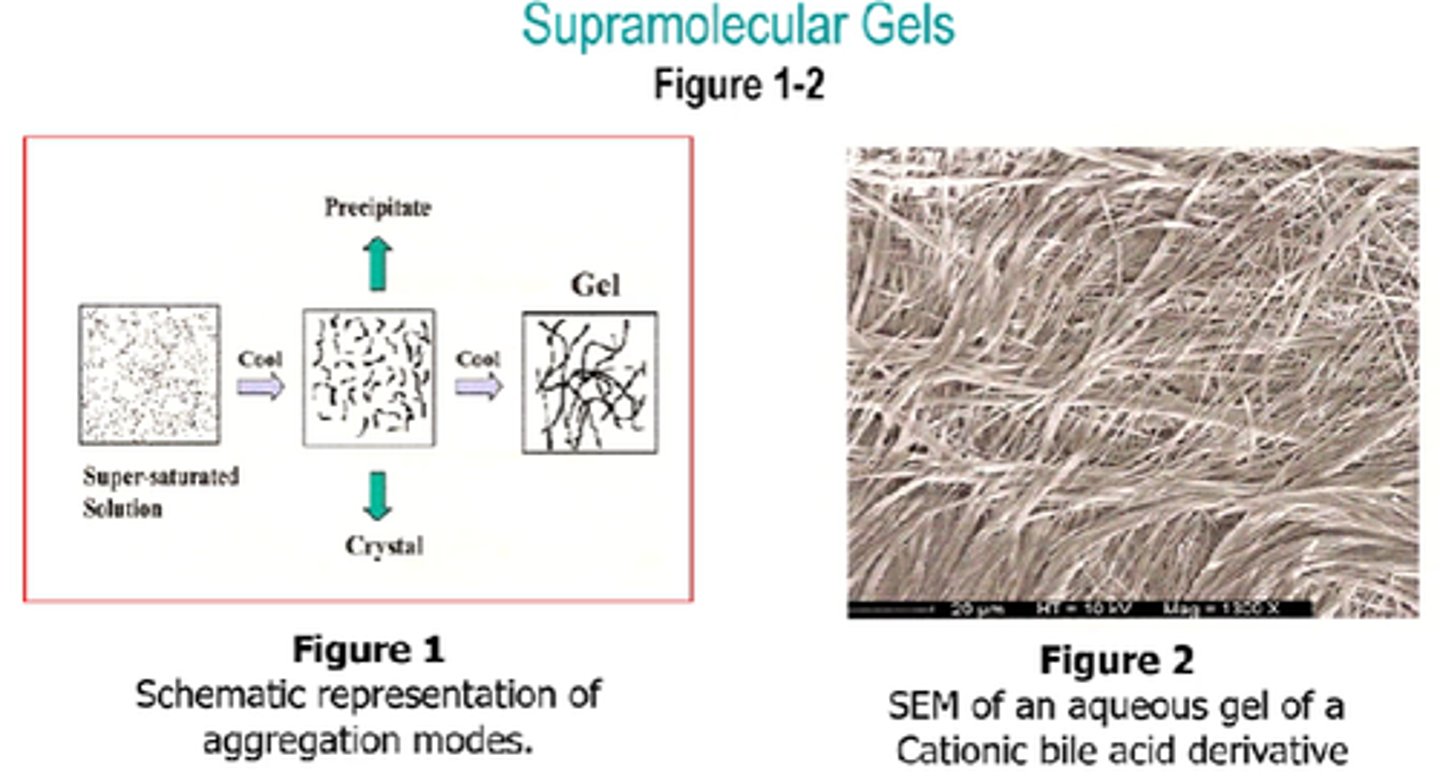 <p>Molecules condense and either:</p><p>1 - crystallise.</p><p>2 - randomly aggregate into an amorphour precipitate.</p><p>3 - An intermediate aggregation between (1) and (2) gives a gel.</p>