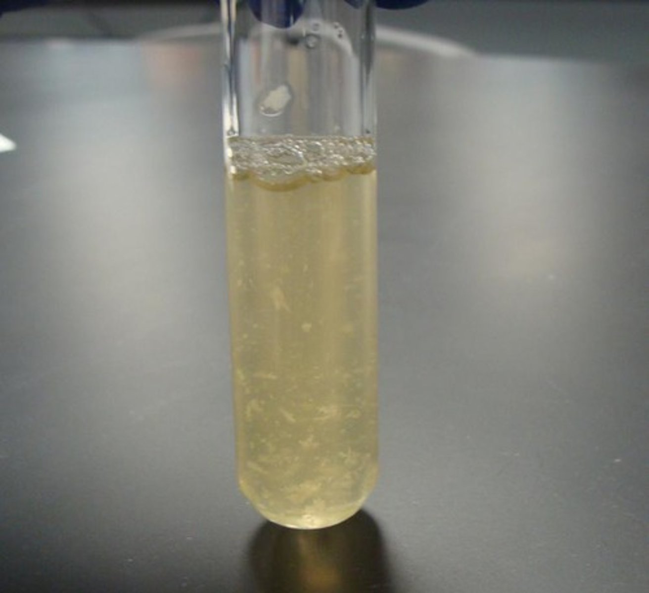<p>A liquid food culture media to grow bacteria</p>