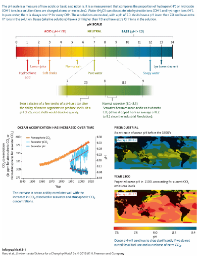 <p><span>Refer to the graph depicting ocean acidification over time in Infographic 1. Which statement is TRUE of the graph?</span></p>