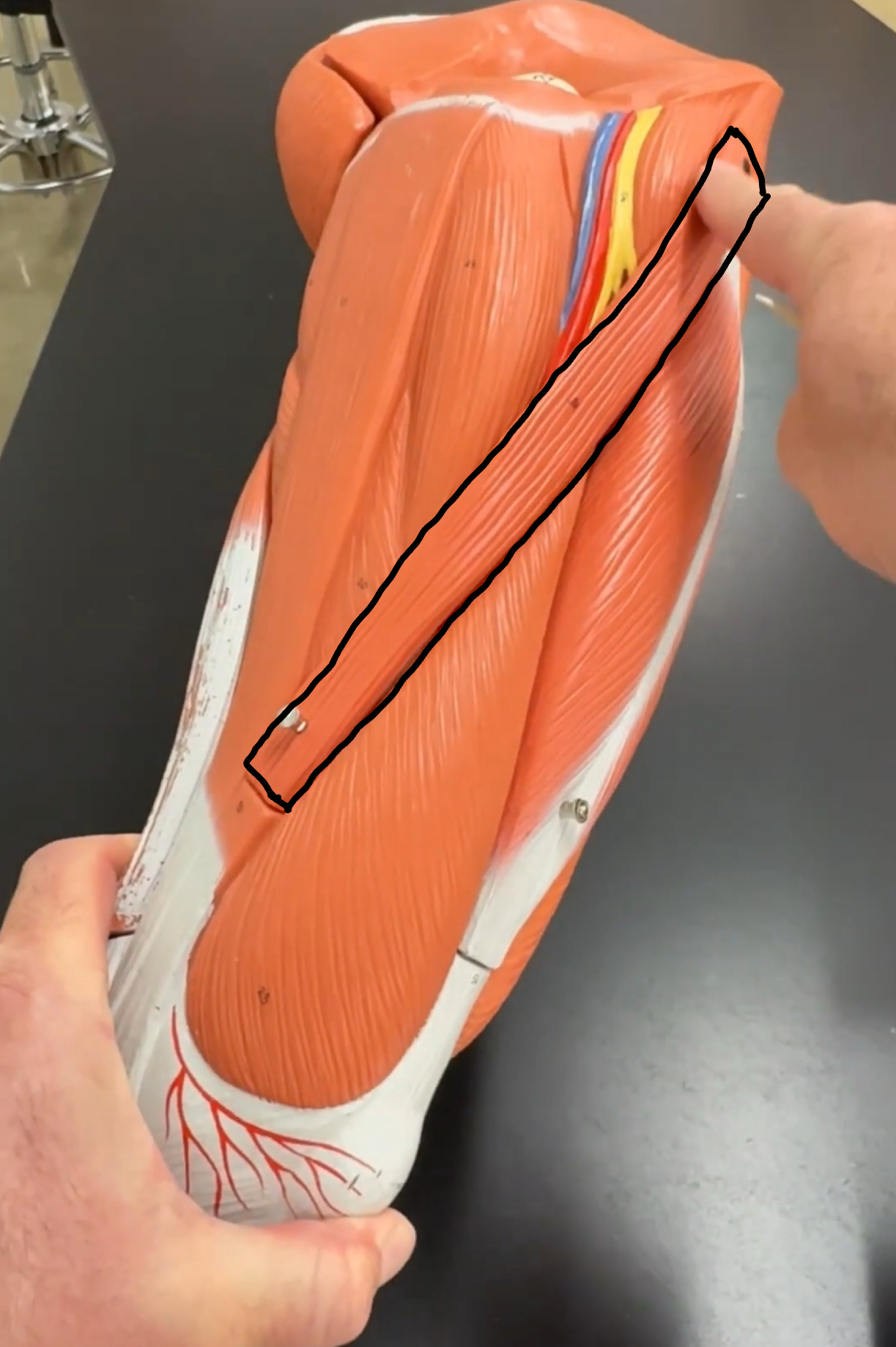 knowt flashcard image