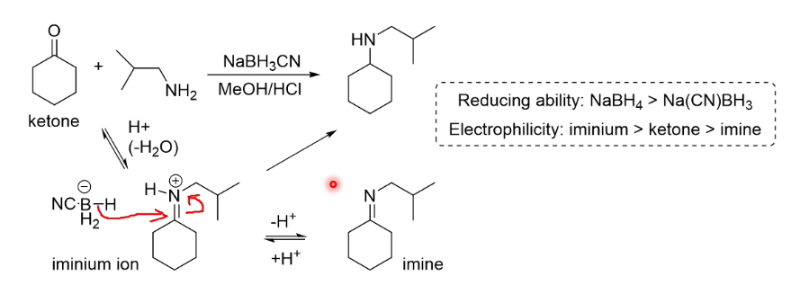 <p>We use a modified reducing agetn so it is not storng enough to just reduce the ketone. The ketone can form an imine in presence of acid (although the pH needs to be kept at a point where the amine is not too protonated) and the imine can then be reduced.</p>