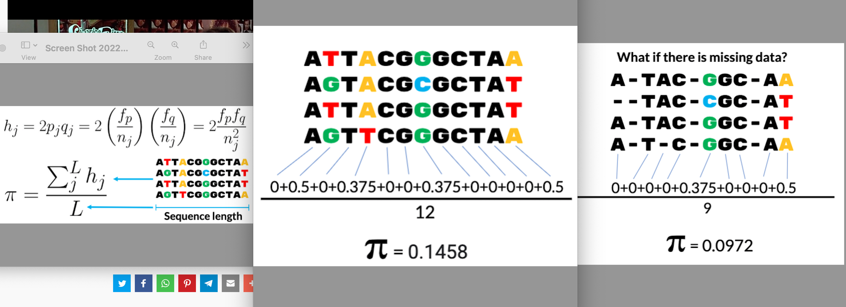 mean expected heterozygosity per nucleotide 