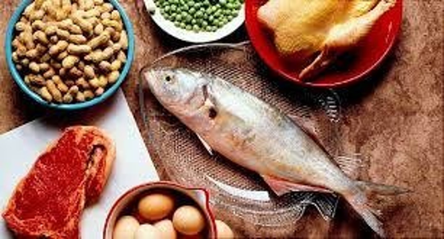 <p>nutrients the body uses to build and maintain its cells and tissues, made up from chemicals called amino acids</p>
