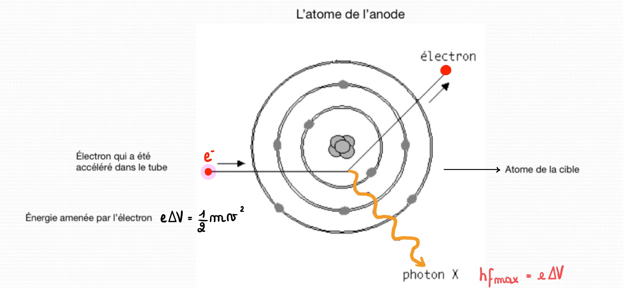 <p>L’électron incident subit une <strong>interaction électrostatique attractive</strong> avec le noyau de l’atome cible : il se met donc à tourner car la force d’interaction joue le rôle de <strong>force centripète</strong>.</p><p>→ L’électron a une <strong>accélération centripète</strong> et voit sa trajectoire s’incurver.</p><p>L’électron est donc <strong>freiné</strong>, il perd de l’énergie cinétique en <strong>émettant des photons X</strong> qui constitue le <strong>rayonnement de freinage</strong> <em>(il pourra céder le reste de son énergie à une autre interaction).</em></p>
