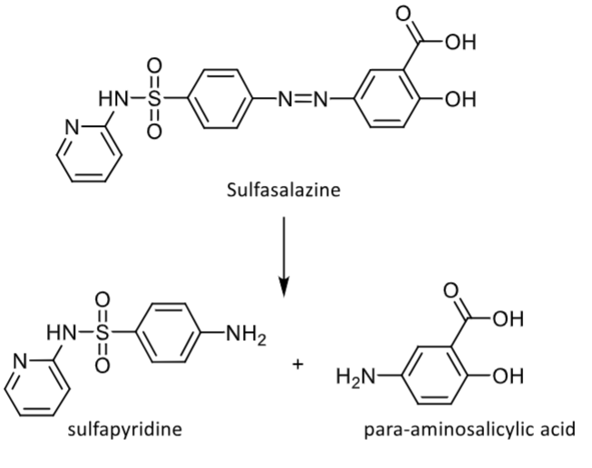 <p>cleaved by azo reductases that are produced by intestinal bacteria</p>