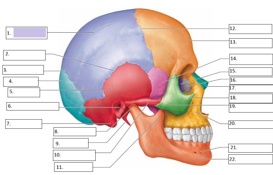 <p>1</p>
