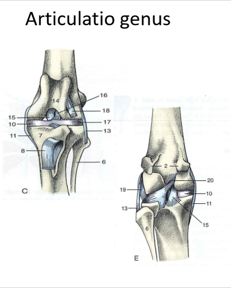 <p>13, mellan vad?</p>