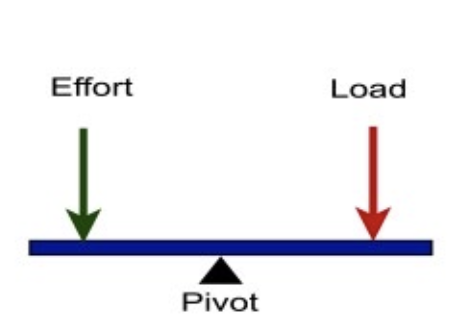 <p>Name the lever type</p>