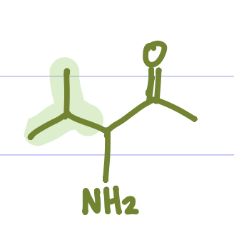 <p>Is this Amino Acid Polar or Non-polar?</p>