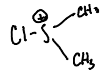 <p>Chlorodimethylsulfonium ion</p>