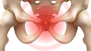<p>where pubis connects</p>
