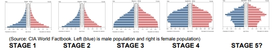 <p>What are population pyramids?</p>
