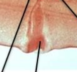 <p>What is this arrow pointing to?</p>