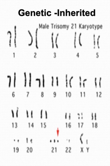 <p>teratology</p><p><em>teratogens?</em></p>