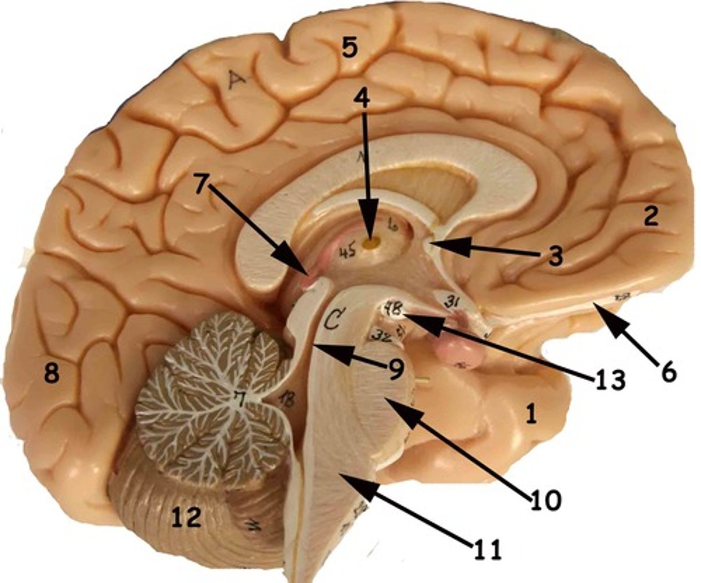 <p>4</p>