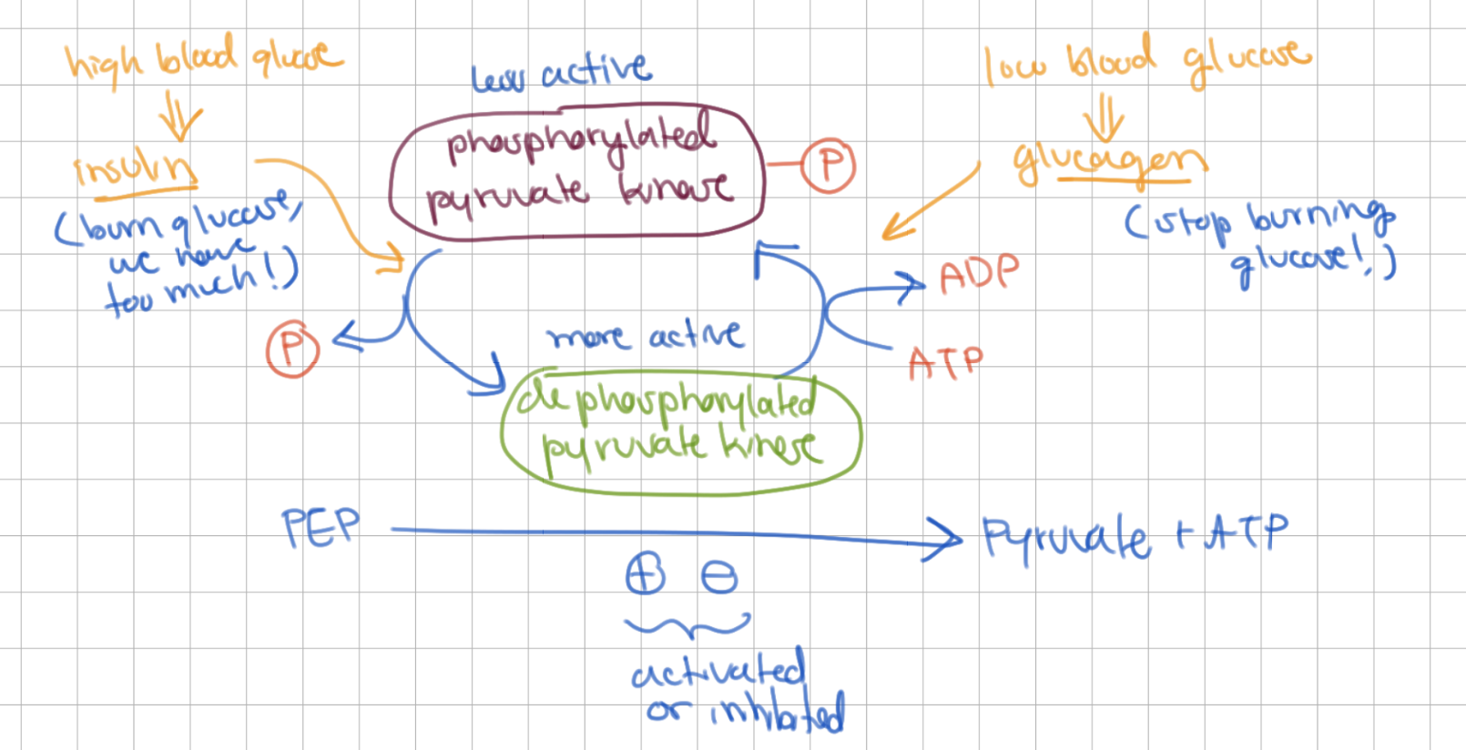 knowt flashcard image