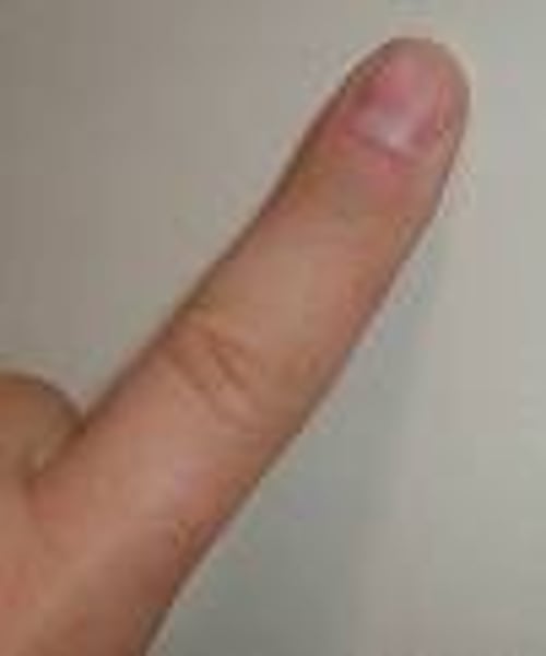 <p>finger</p>