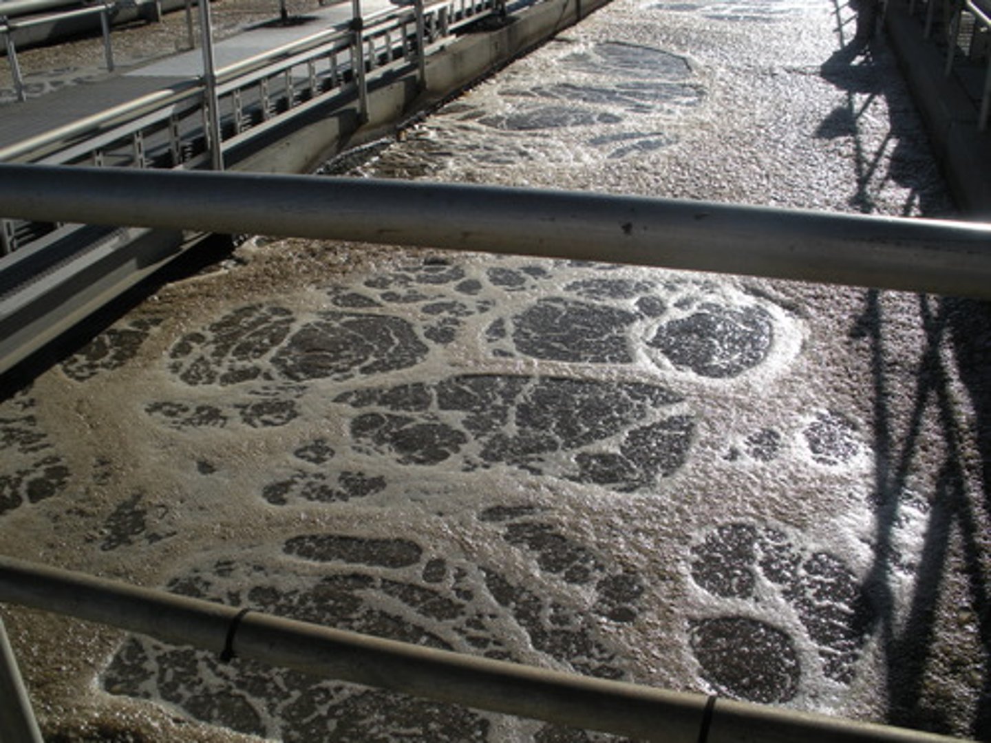 <p>Water produced by livestock operations and human activities, including human sewage from toilets and gray water from bathing and washing of clothes and dishes.</p>