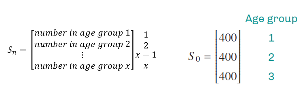 <p>A <strong>column matrix</strong> showing the number of individuals in each <strong>age group</strong> at a given time.</p><ul><li><p>The <strong>initial</strong> state matrix is <strong>S₀</strong>.</p></li><li><p>Example: If there are 400 females in <strong>each</strong> age group at the start:<br> S₀ = [400</p><p>            400</p><p>            400]</p></li></ul><p>Each step forward uses: <strong>Sₙ₊₁ = L × Sₙ</strong>.</p>