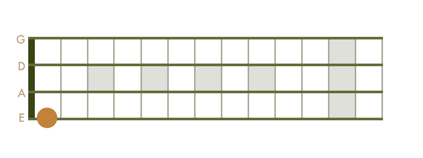 <p>1st Fret - E String</p>