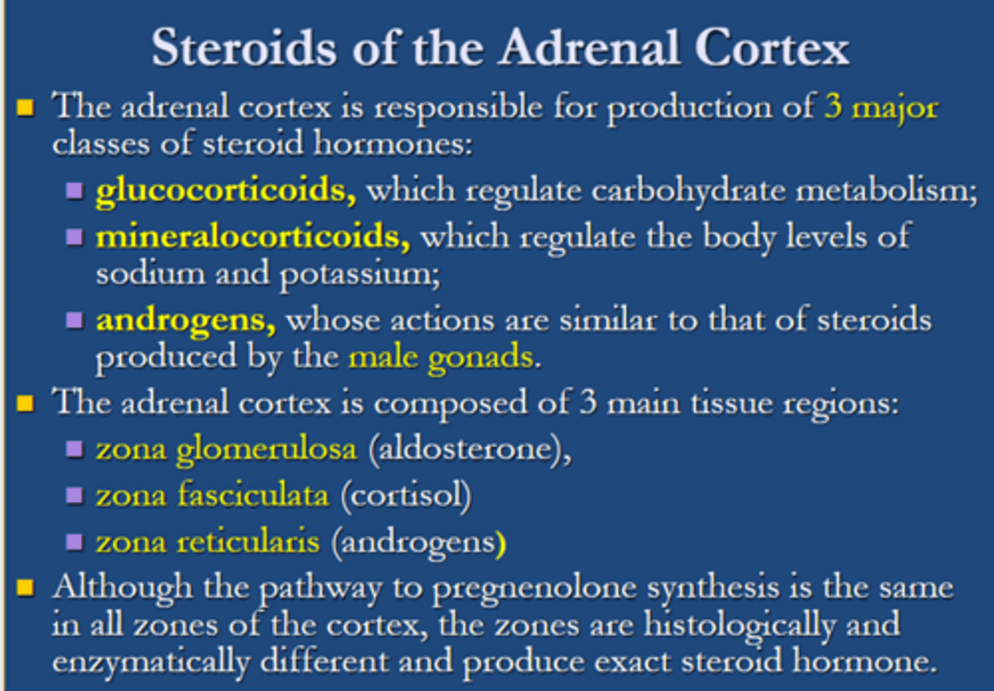 <p>although the <span class="bgY">pathway to pregnenolone synthesis is the same in all zones</span> of the cortex, the <span class="bgY">zones are historically and enzymatically different and produce exact steroid hormones</span></p>