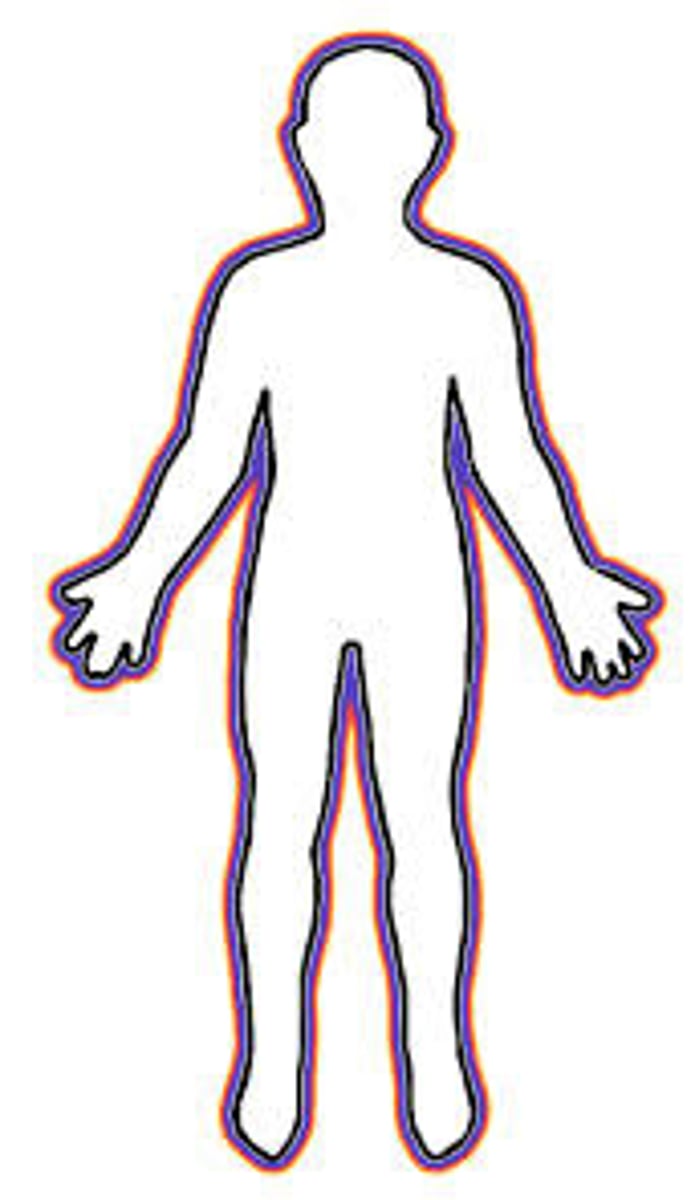 <p>man, human, humane, kind, refined</p>