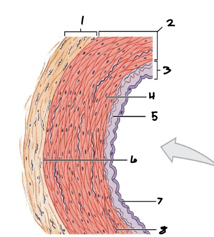 <p>5</p>