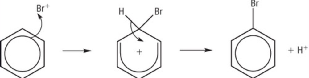 <p>C-H bond breaks, e- put back in pi system = reformed</p>