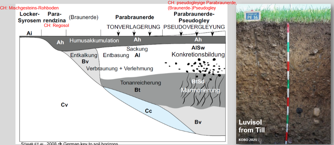 <p>Not on Mergel but on loose material → Moraine, Löss… → contains a bit of carbonate (20-40%), has carbonate, silica and clay</p><p>No redox, pure luvisol</p><p>Important to understand the three main parent material and the mix</p>