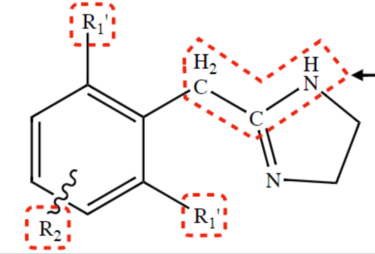 Pharmacophore of Arylimidazoline Adrenergic Agonist