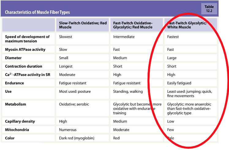 <p>If you want to win a 100-metre sprint, you'd better be born with 80% of⦠</p>