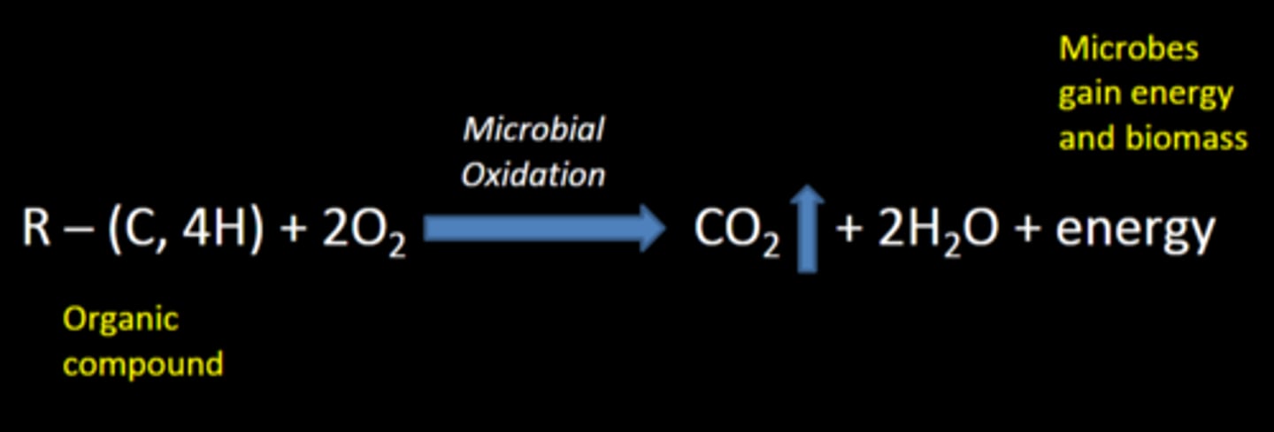 <p>The process of breaking down organic matter</p><p>-N, P, S and other plant essential elements are also released</p>