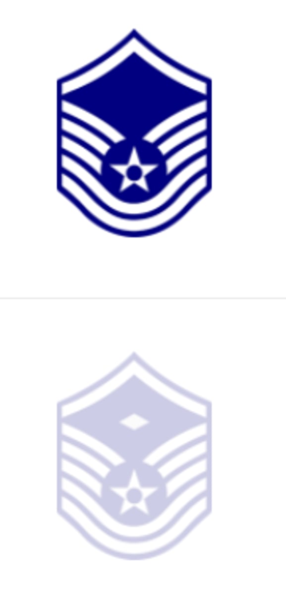 <p>-Master Sergeant E-# (First Sergeant) (MSgt)</p><p>-Master Sergeant / E-#</p>