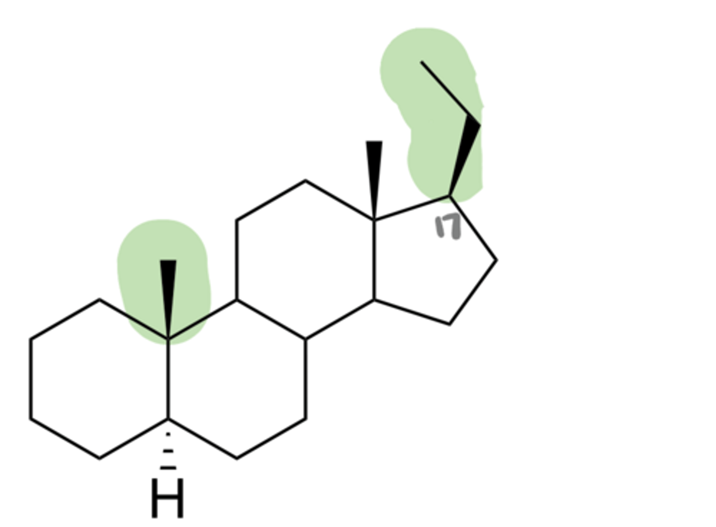<p>What steroid nucleus is this?</p>