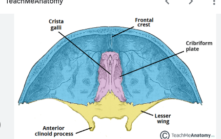 knowt flashcard image