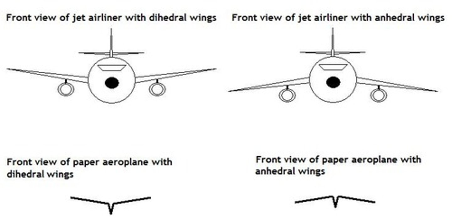 <p>Anhedral</p>