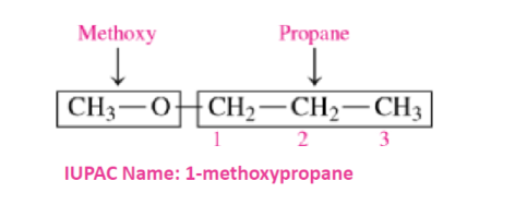 <ul><li><p><span>An alkoxy group of a smaller alkyl group and the oxygen atom</span><span style="color: windowtext">&nbsp;</span></p></li><li><p><span>Add the alkane name of the longer carbon chain</span><span style="color: windowtext">&nbsp;</span></p></li><li><p><span>Add the locator number of where the alkoxy group is attached to the longer group</span><span style="color: windowtext">&nbsp;</span></p></li></ul>