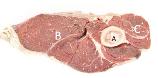 <p>A</p>